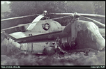 .Mi-2T '01'