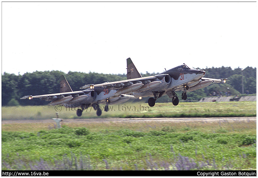 .Su-25 '31' '33'